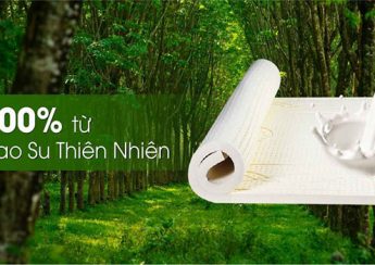 Đệm cao su Kim Cương